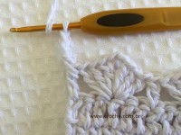 Tapete oval bico duplo - tapete do vaso parte2 (86)