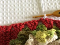 Tapete oval bico duplo - tapete do vaso parte2 (98)