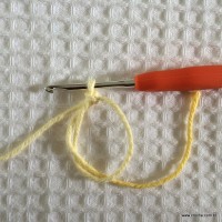 Flor contornada passo a passo (1)