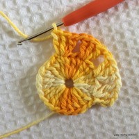 Flor contornada passo a passo (9)