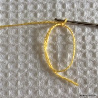 Flor para aplicação passo a passo (1)