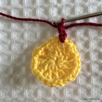 Flor para aplicação passo a passo (10)