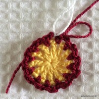 Flor para aplicação passo a passo (13)