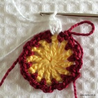 Flor para aplicação passo a passo (15)