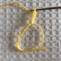 Flor para aplicação passo a passo (2)