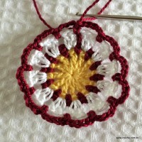 Flor para aplicação passo a passo (21)