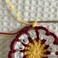 Flor para aplicação passo a passo (24)