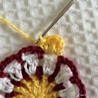 Flor para aplicação passo a passo (27)