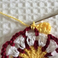 Flor para aplicação passo a passo (28)