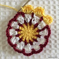 Flor para aplicação passo a passo (29)