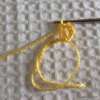 Flor para aplicação passo a passo (3)