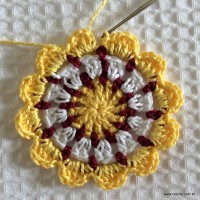 Flor para aplicação passo a passo (30)