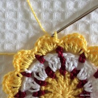 Flor para aplicação passo a passo (31)