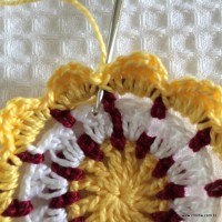 Flor para aplicação passo a passo (32)