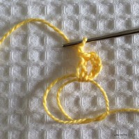 Flor para aplicação passo a passo (4)