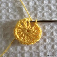 Flor para aplicação passo a passo (7)