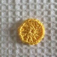 Flor para aplicação passo a passo (8)