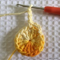 Rosa colombiana passo a passo (13)