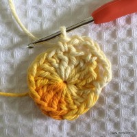 Rosa colombiana passo a passo (14)