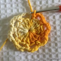 Rosa colombiana passo a passo (16)
