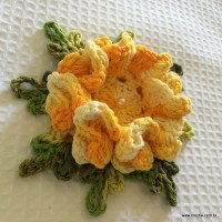 Rosa colombiana passo a passo (92)