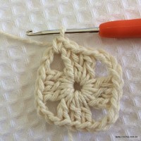 Tapete tropical passo a passo (10)