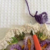 Tapete tropical passo a passo (112)