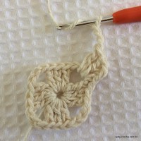 Tapete tropical passo a passo (13)