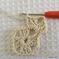 Tapete tropical passo a passo (14)