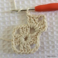 Tapete tropical passo a passo (15)