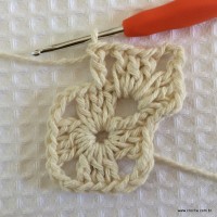 Tapete tropical passo a passo (16)