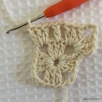 Tapete tropical passo a passo (17)