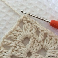 Tapete tropical passo a passo (20)