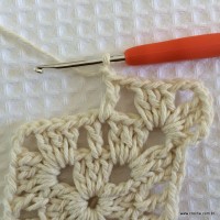 Tapete tropical passo a passo (22)