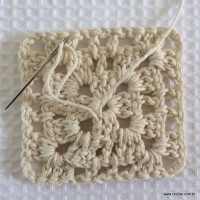 Tapete tropical passo a passo (27)