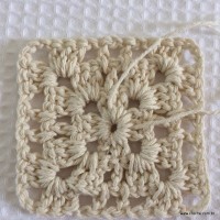 Tapete tropical passo a passo (30)