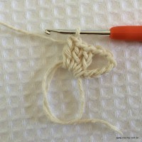 Tapete tropical passo a passo (4)