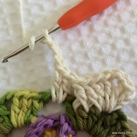 Tapete tropical passo a passo (47)