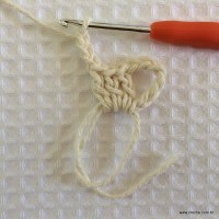 Tapete tropical passo a passo (5)