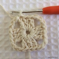 Tapete tropical passo a passo (9)