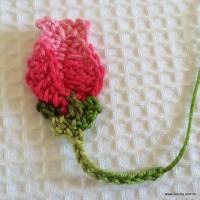 botao-de-rosa