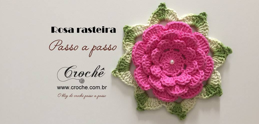 rosa-rasteira