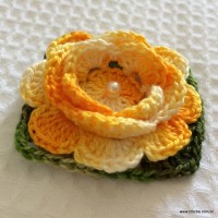 roseta-aberta-2