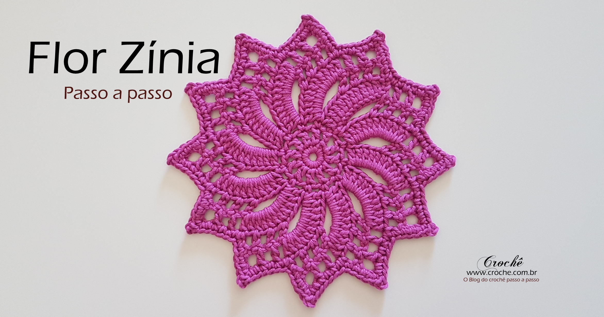 zinia