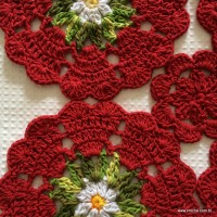 Tapete sedu&ccedil;&atilde;o (110)