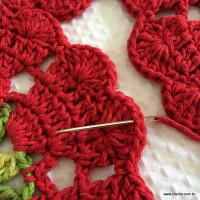 Tapete sedução (111)