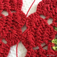 Tapete sedução (122)