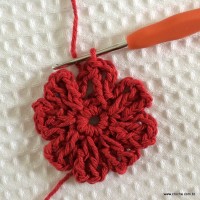 Tapete sedução (84)