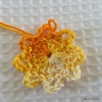 Flor carisma passo a passo (10)