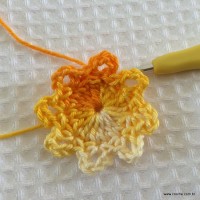 Flor carisma passo a passo (11)